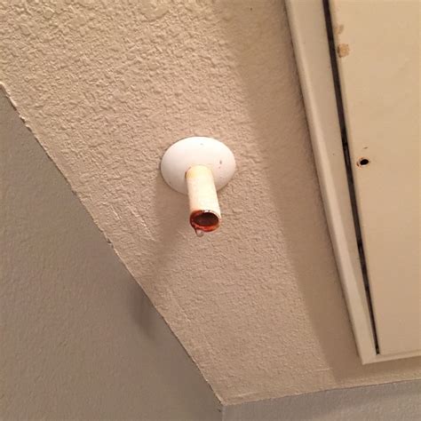 pipe above shower leaking|This thing above my shower in my apartment is。